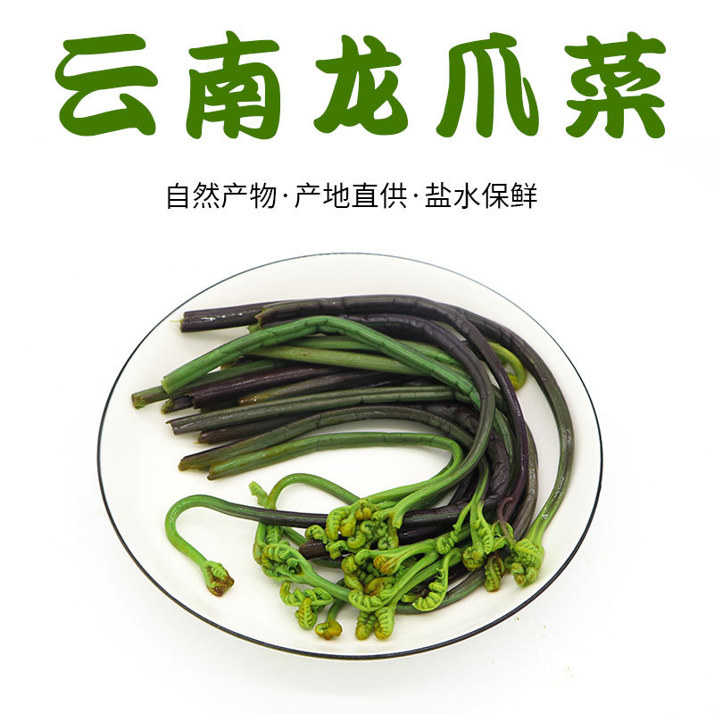 云南龙爪菜盐水保鲜蕨菜批发山蕨菜散装500g装云南蔬菜批发
