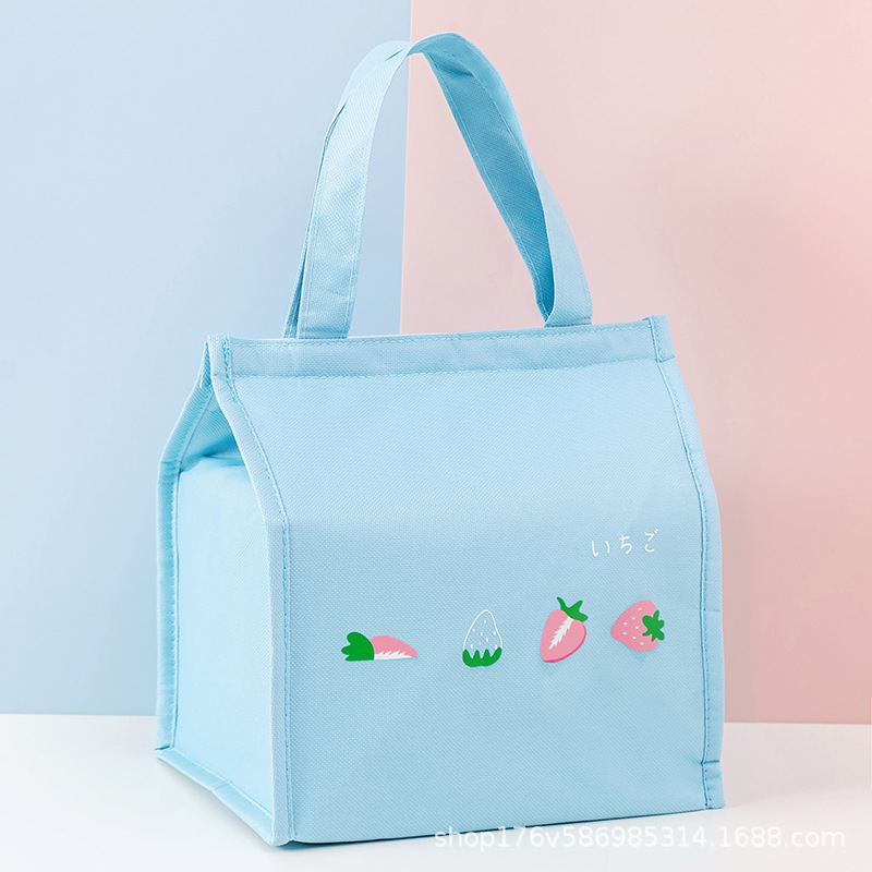 New Fashion Simple Large Capacity Fresh Fruit Colorful Picnic Insulated Bag Lunch Bag Lunch Box Bag Wholesale