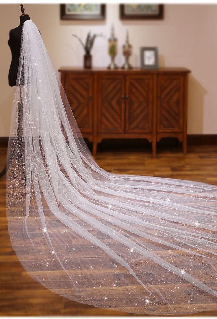 长款大拖尾新娘结婚婚纱头纱抖音同款闪闪大头纱网红拍照头纱