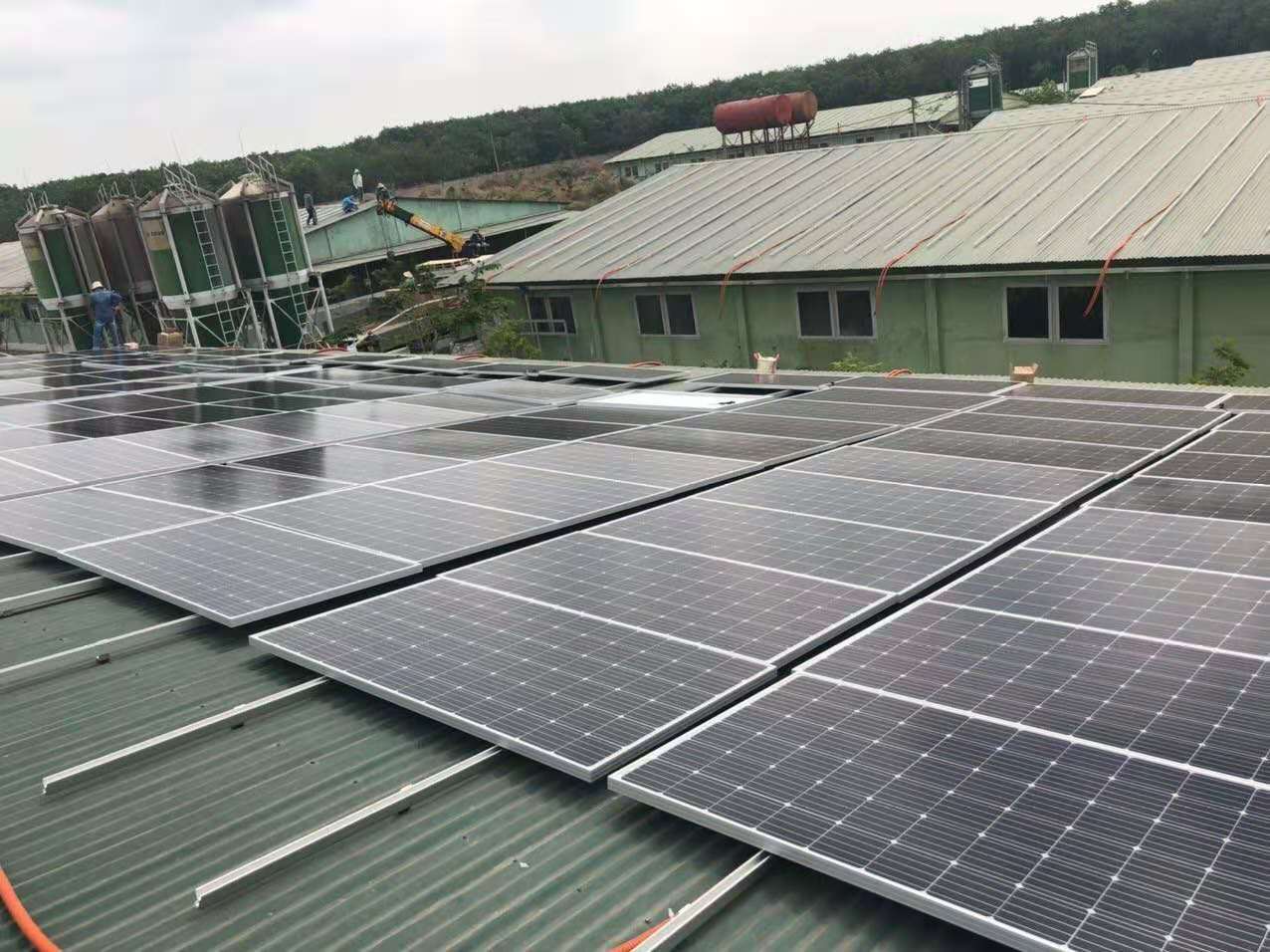 广东晶天150w太阳能警示灯野猪松鼠动物驱赶器报警灯太阳能光伏板