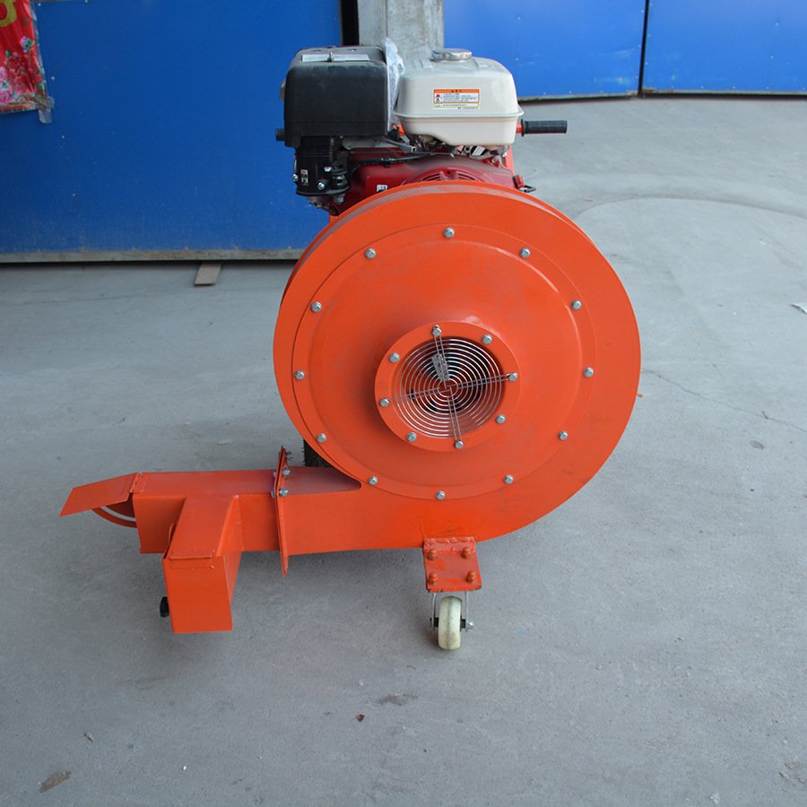 草坪清理吹风机 马路吹风机 路面吹风机 小型吹风机供应