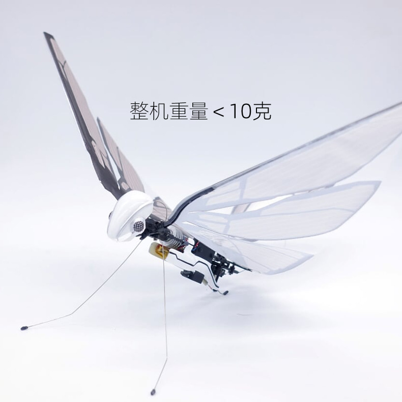 法国bionicbird遥控智能仿生鸟昆虫飞行器电动玩具机器小鸟