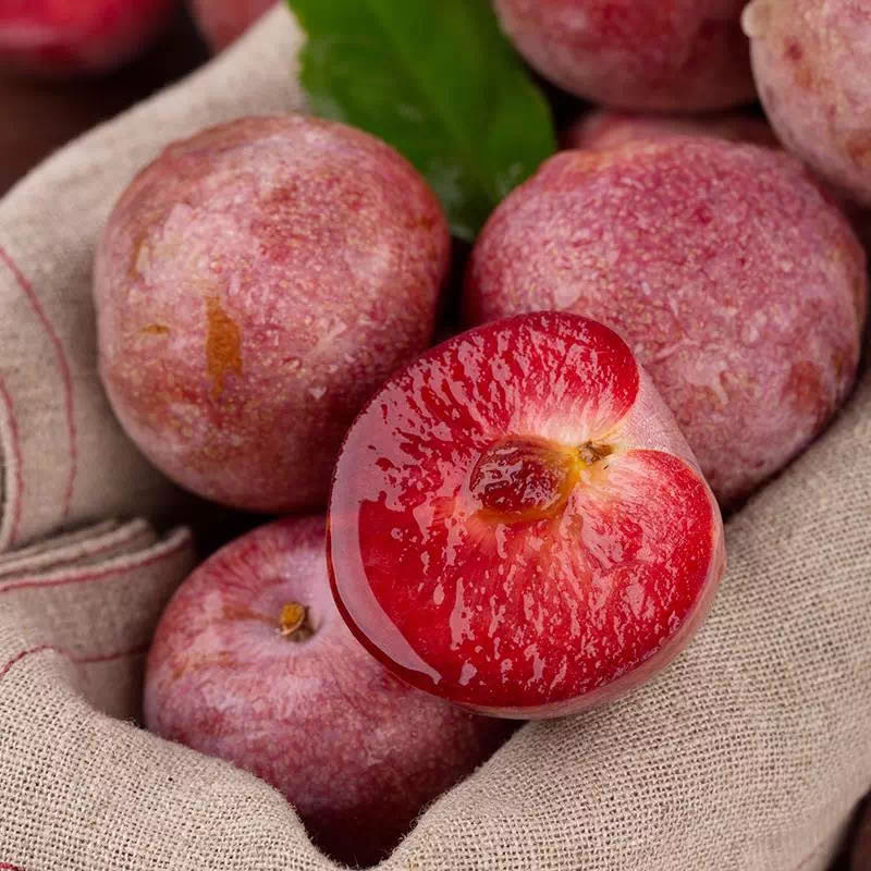 【智利恐龙蛋】玫瑰血丝李当季鲜品酸甜可口5斤新鲜水果一件代发