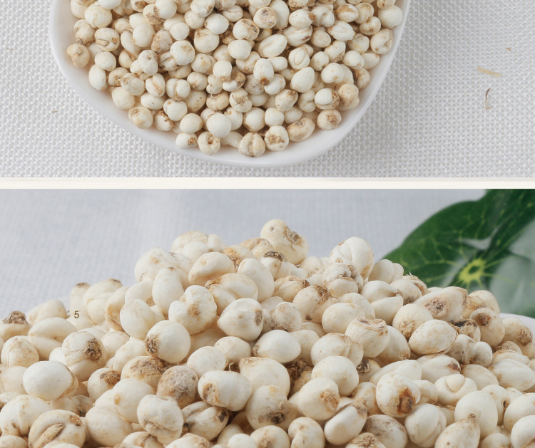 150克装四川小川贝 贝母 产地批发川贝 平贝 浙贝 大货请私聊