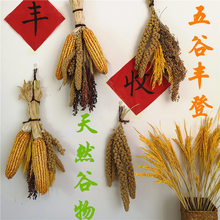 麦穗干花装饰摆件水稻穗干花小麦穗稻穗装饰大麦干花花束五谷杂粮