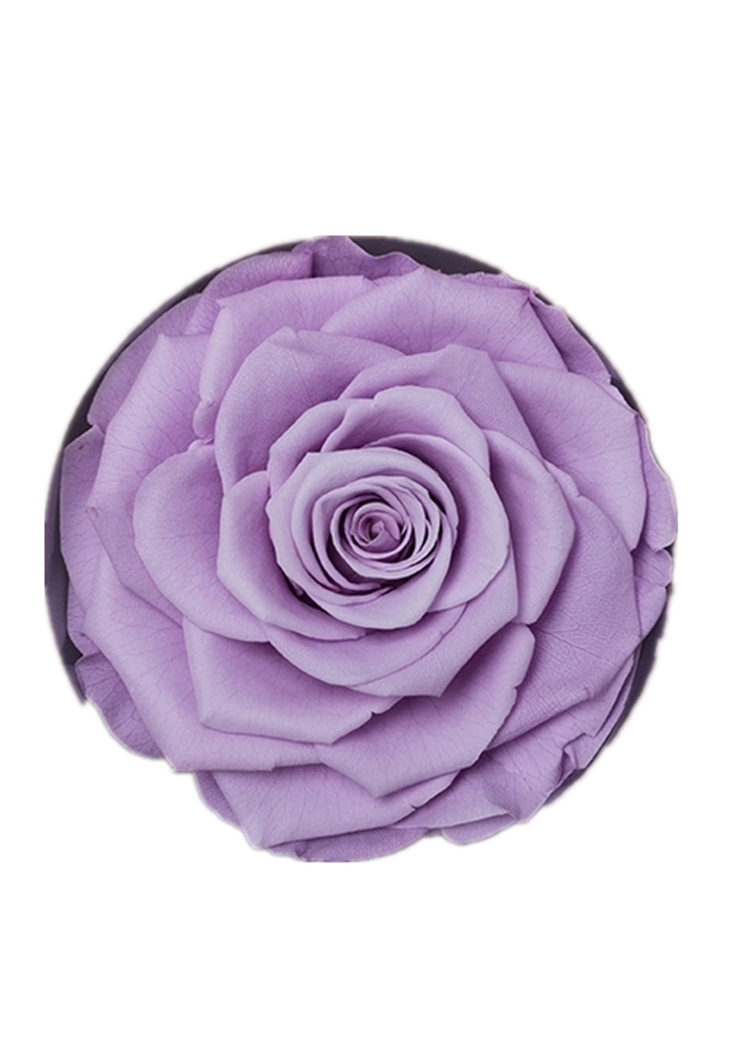 永生花巨型玫瑰星座礼盒主花拍摄道具家居花瓶插花材料