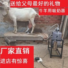 电动奶羊便携吸挤羊奶器小型吸羊奶的挤奶器家用6斤装羊奶吸奶器