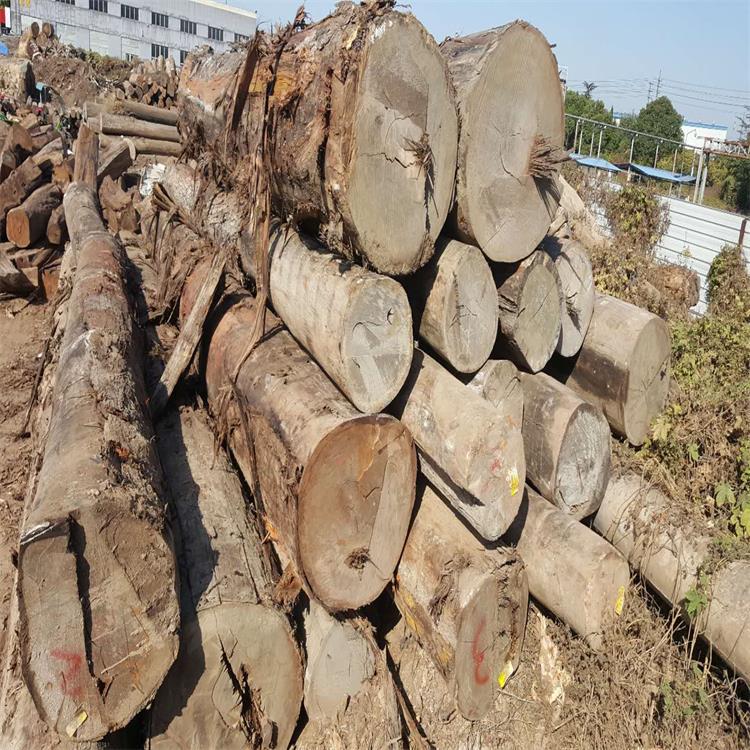 从事木材十五年推荐重蚁木室内户外都可以用的南美材 耐腐耐磨