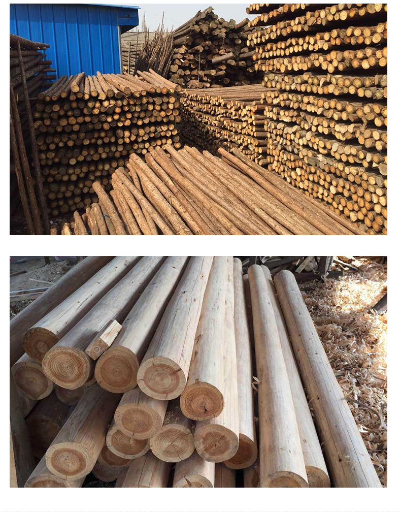 厂家直销快速发货质量保障杉木桩杉木撑条 园林绿化支撑杉木条