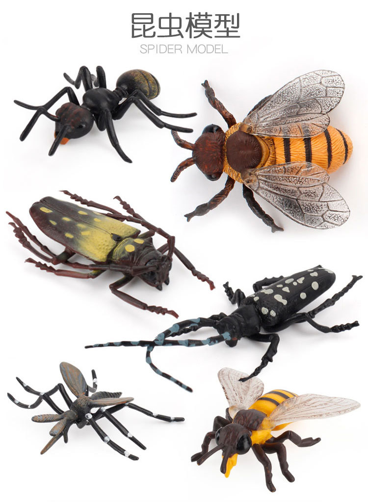 跨境仿真昆虫世界模型儿童科教蜜蜂蚂蚁天牛摆件微观整蛊装饰玩具