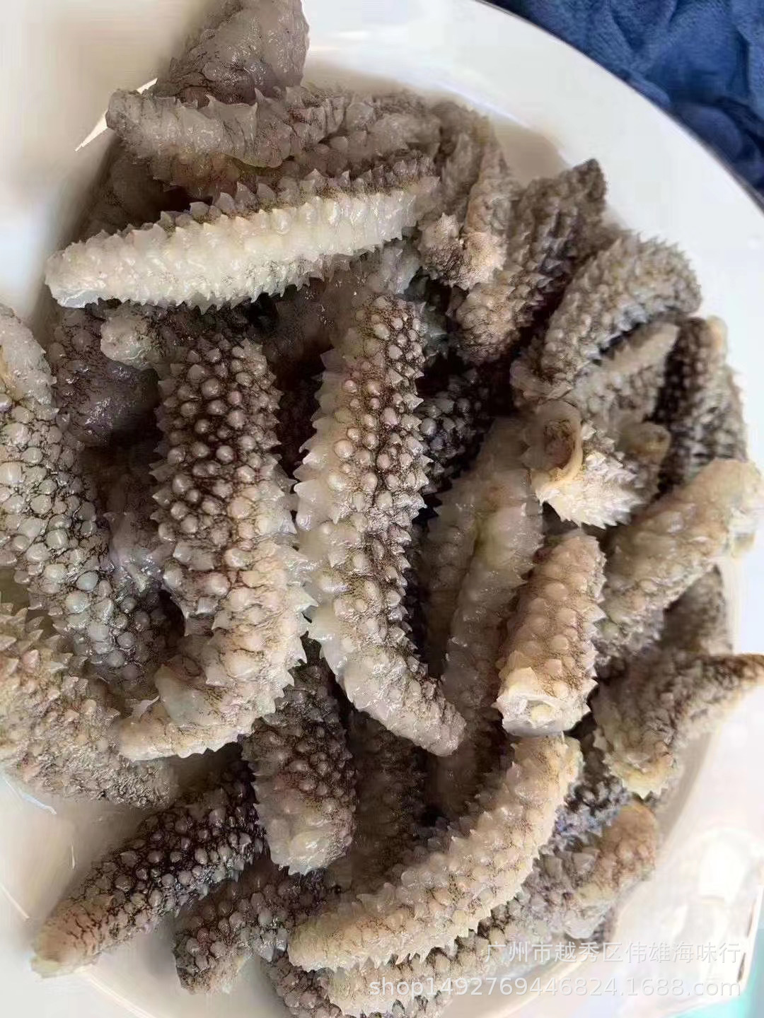 去皮刺秃参 淡干印尼小刺秃海参干货500克批发一件代发诚招代理