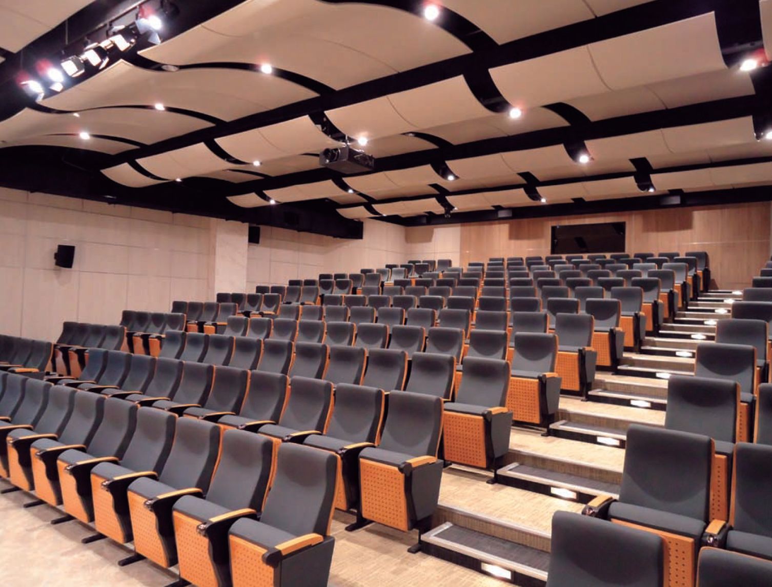 学校音乐厅会议室报告厅电影院影剧院礼堂椅阶梯式座椅椅子排椅