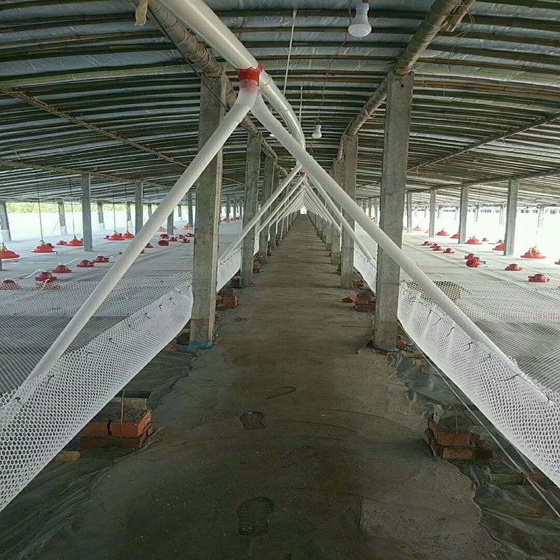 畜牧养殖用品料线 养猪场用喂料线全自动化料线设备养殖喂料设备