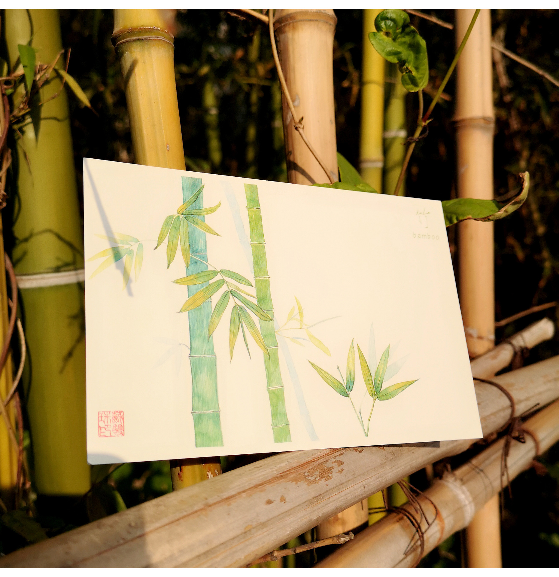 本心如荷原创手绘明信片梅兰竹菊风景特写礼盒包装1套4枚风格贺卡