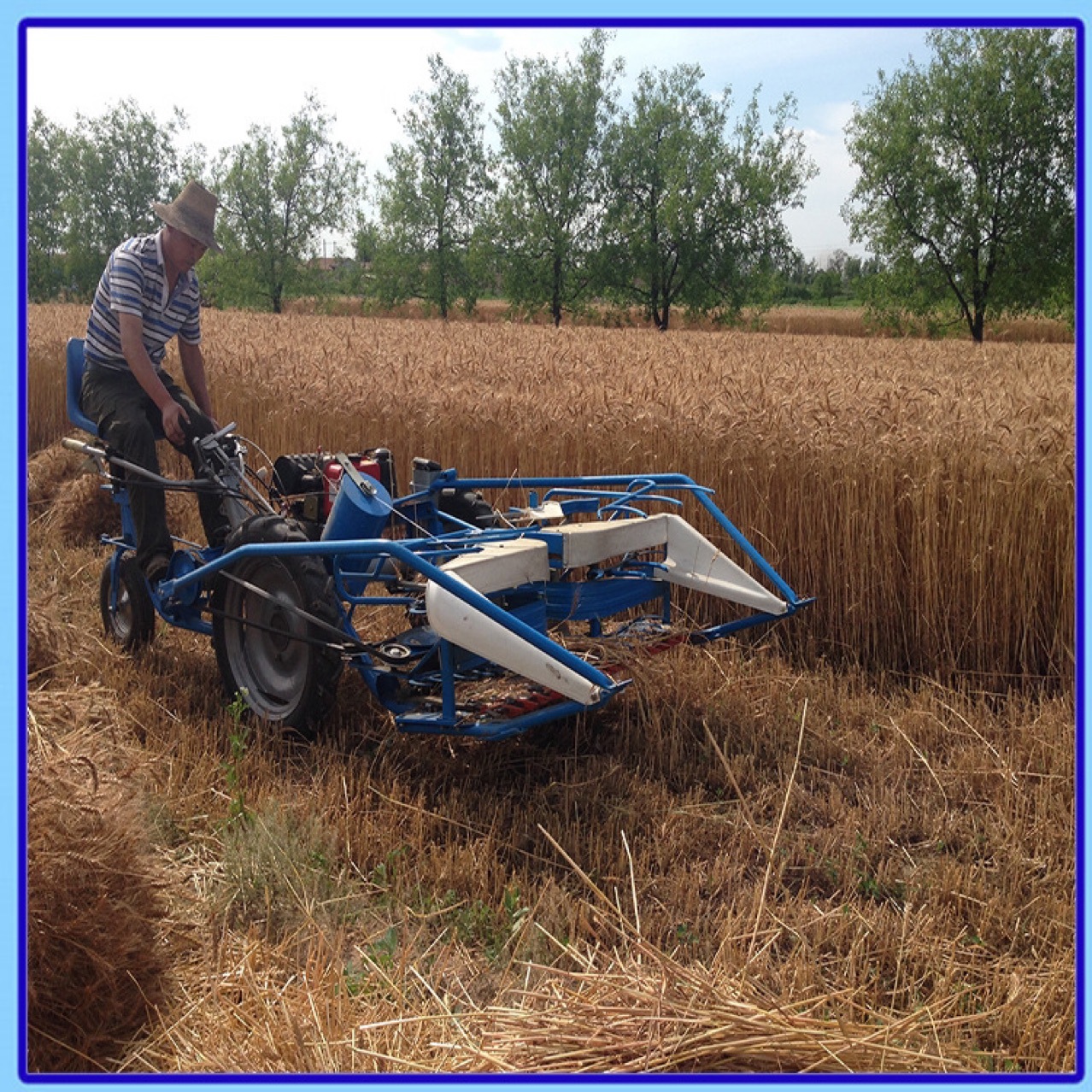 三轮坐式芦苇小麦收割打捆机 厂家直销四轮秸秆植物割捆机