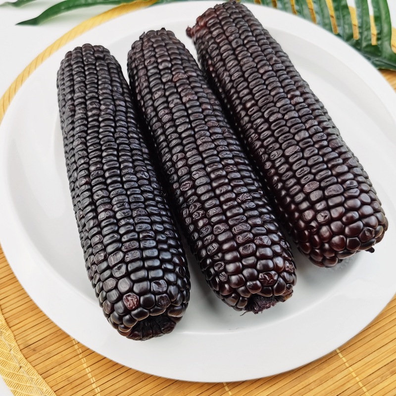 黑玉米糯玉米包邮