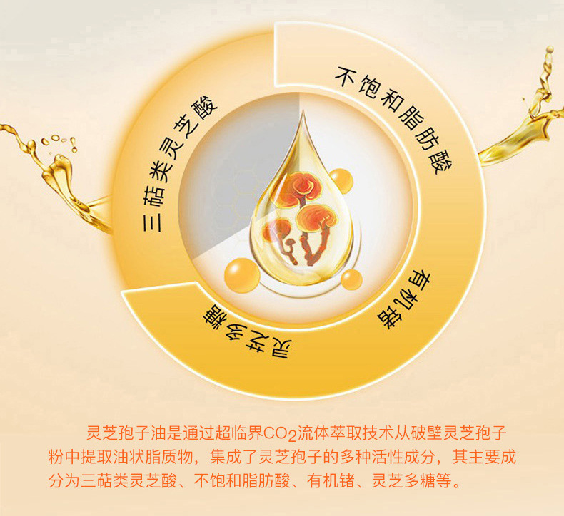 灵芝孢子油厂商批发芝神灵芝孢子油oem代工贴牌厂家直供