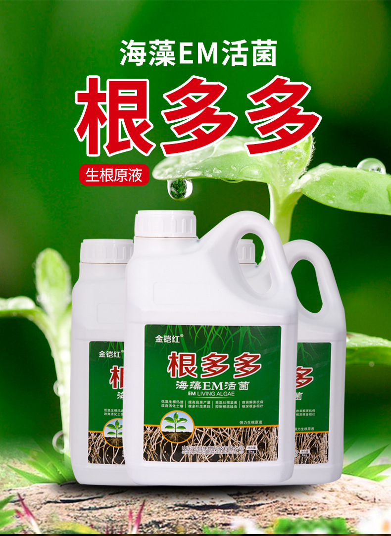 生根剂抗腐壮根灵快速发根壮苗生根粉em菌白根多多水溶肥料根腐灵