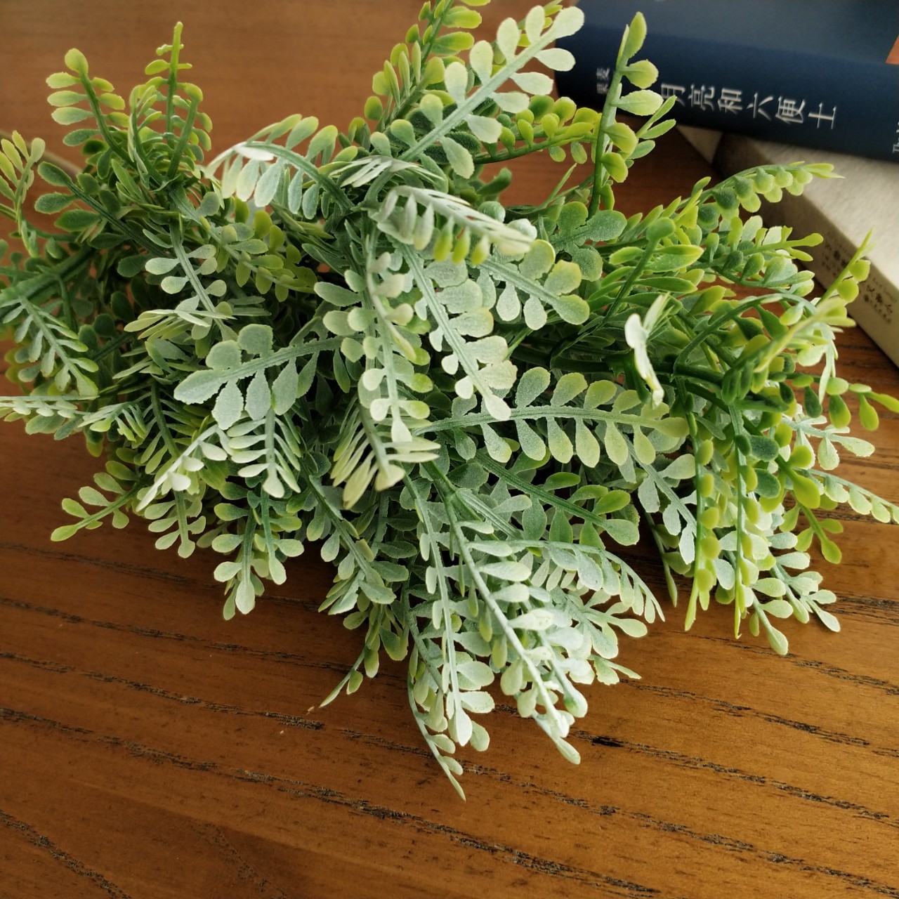 北欧仿真16头贝壳草厥叶 家居样板间会所插花装饰 婚庆拍照道具