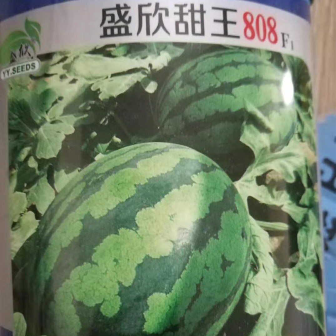 甜王西瓜种子-甜王西瓜种子厂家,品牌,图片,热帖-阿里巴巴