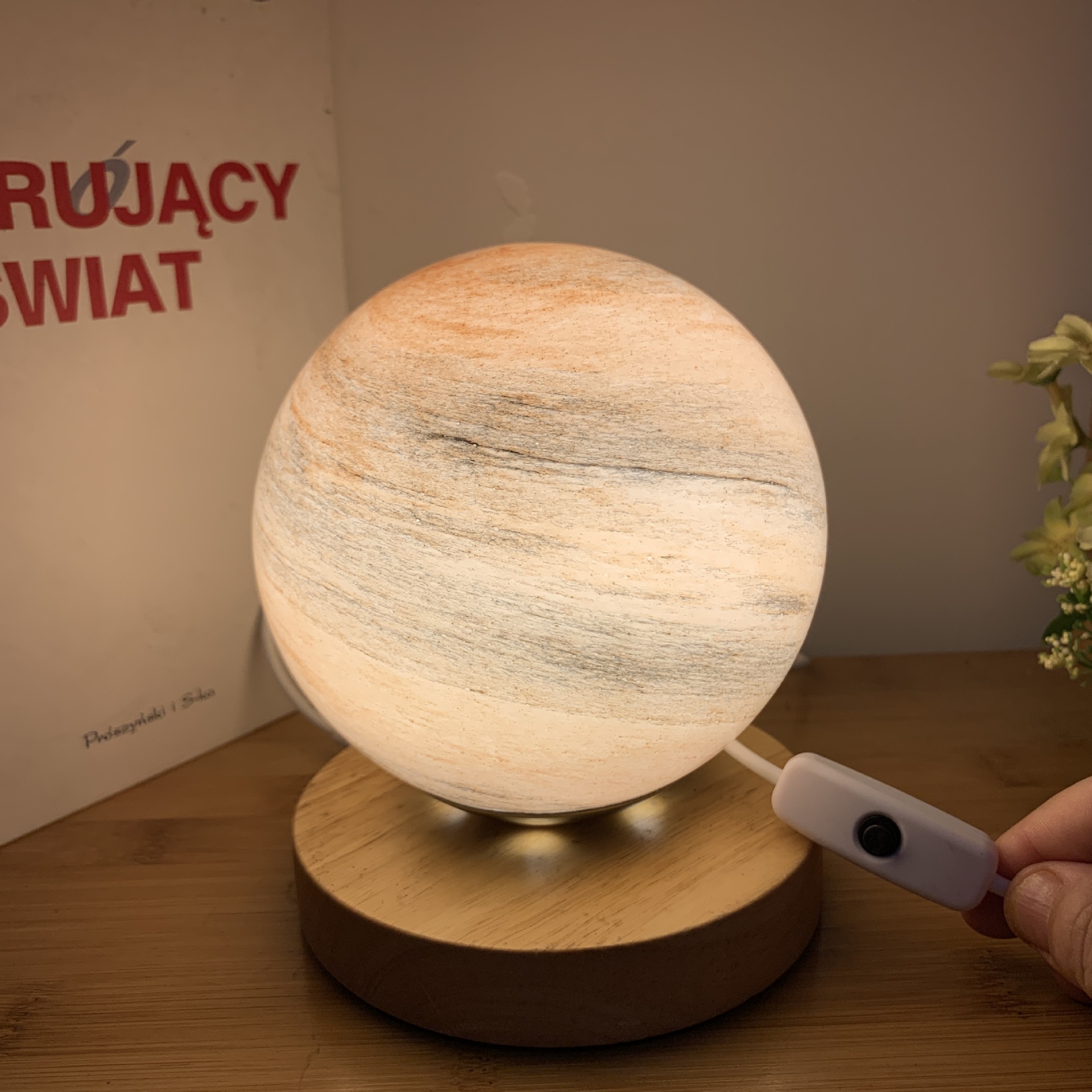 月球灯 木头小夜灯 星球灯 宇宙星空灯 usb实木圆球灯流浪星球灯