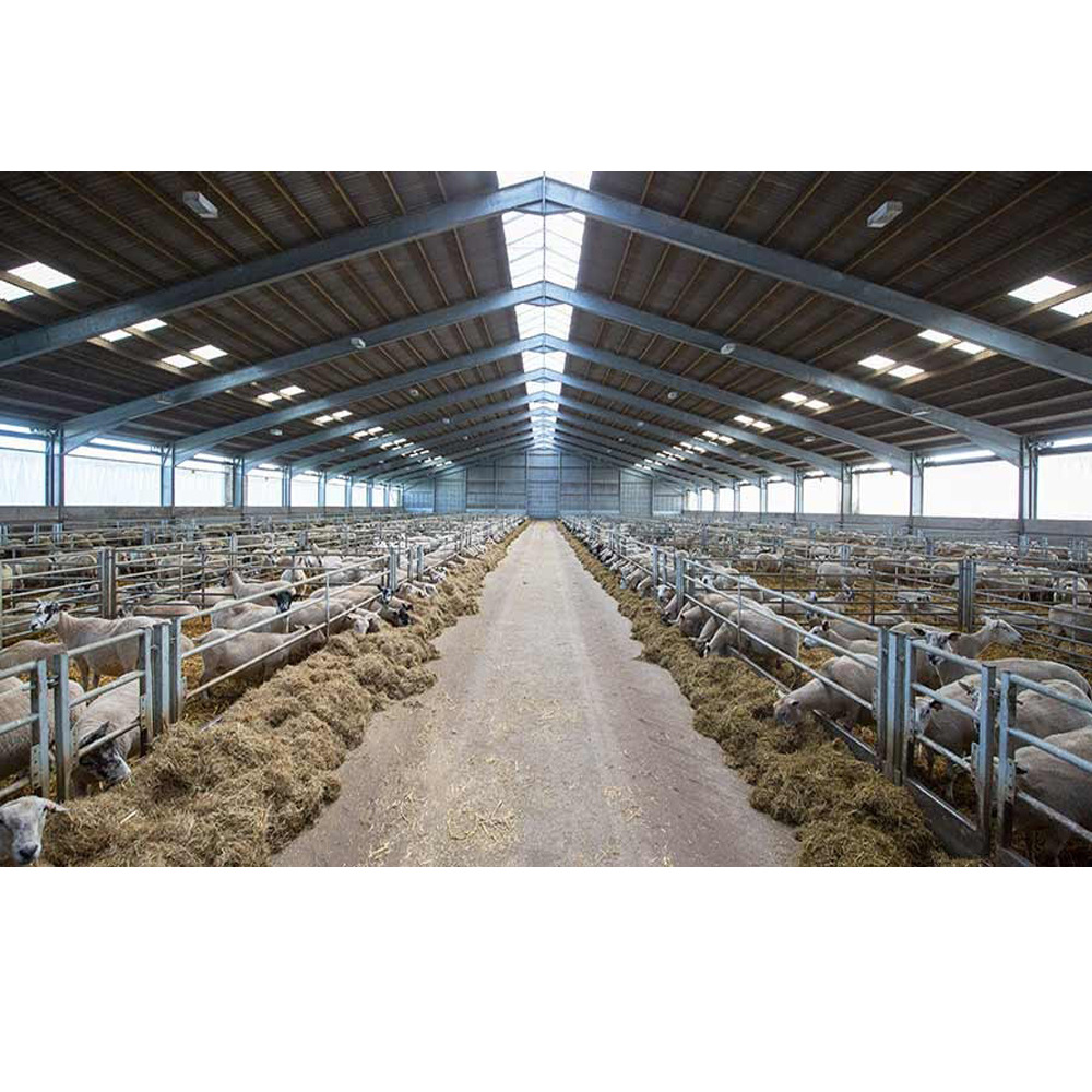 批发定制预制马棚/牛棚/鸡舍 钢结构