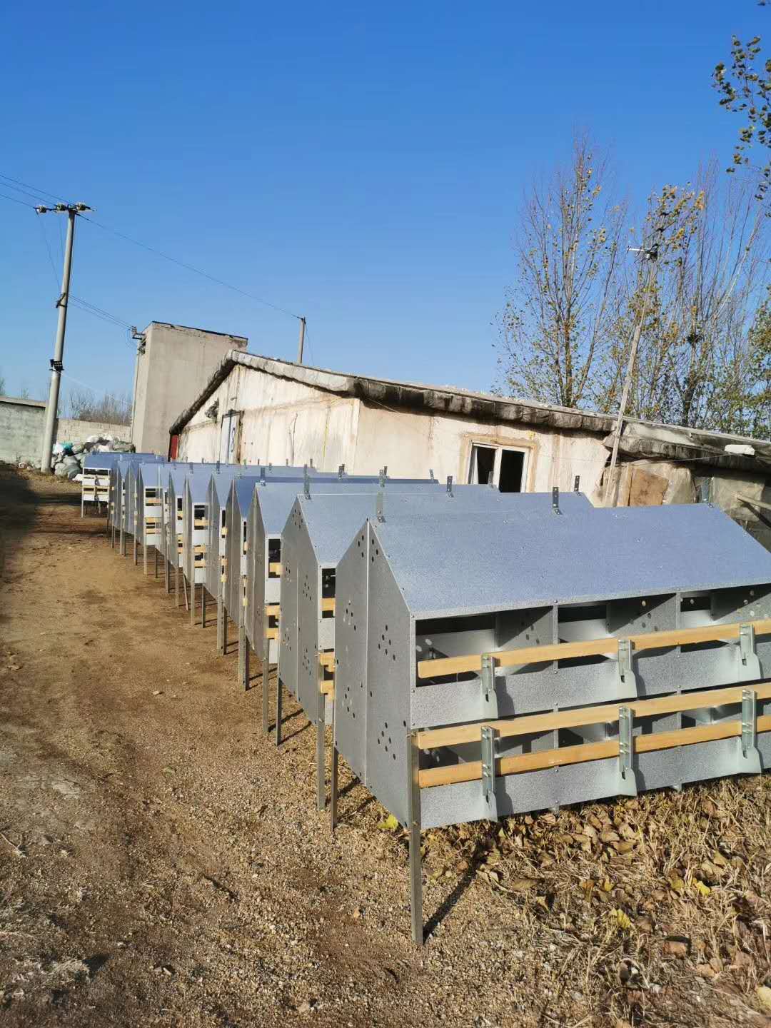 平养手动产蛋箱24穴产蛋箱