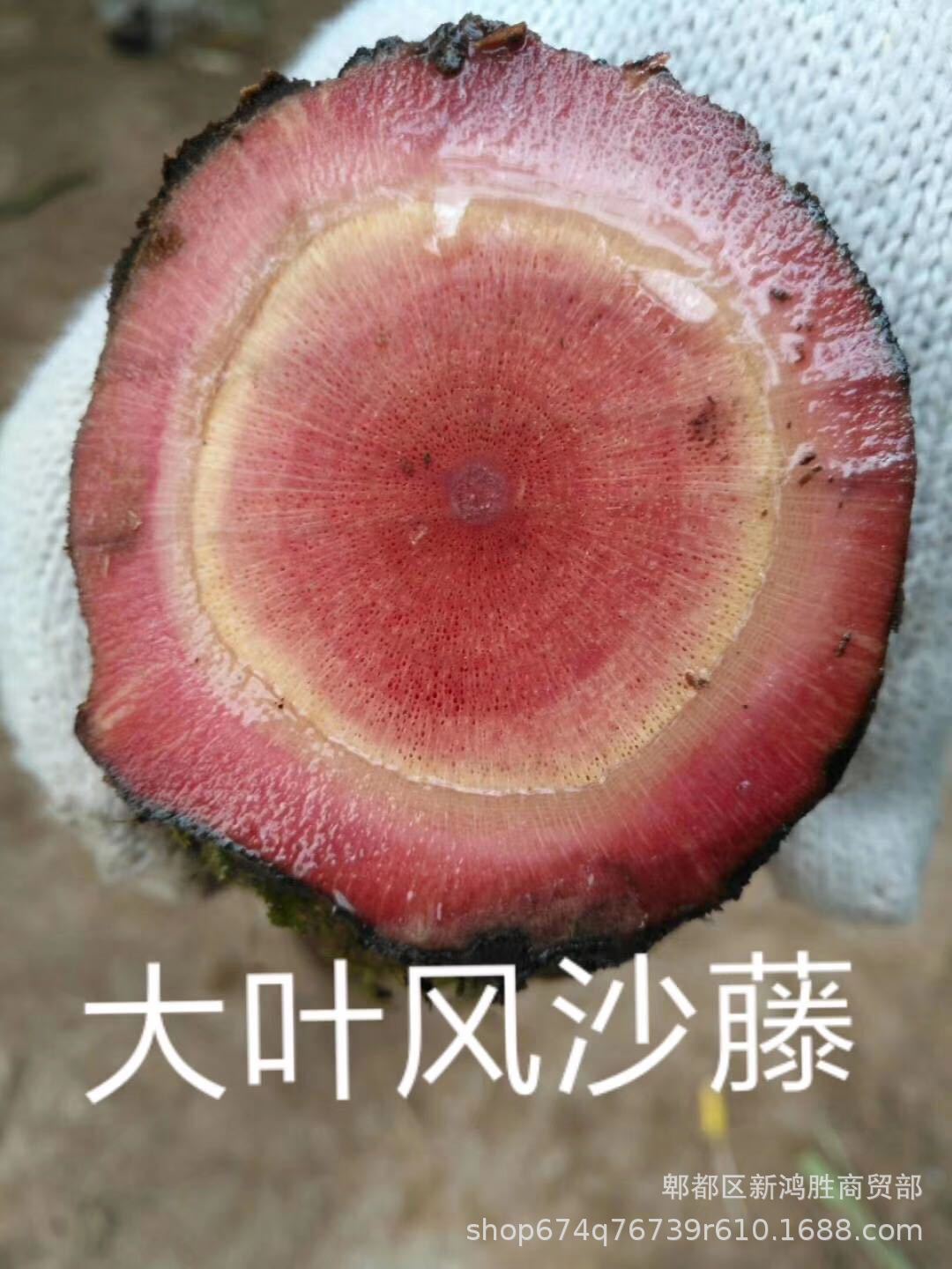 百花血藤,红藤,五爪龙,麻骨风,晕鸡头,黑血藤,青竹标,朱砂莲,见血飞