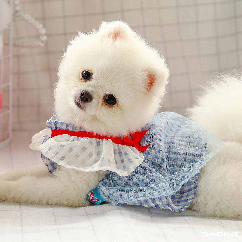 宠物雪纳瑞比熊博美泰迪狗狗夏季天装薄款公主连衣裙子吉娃娃衣服