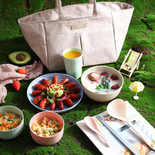 日式小麦秸秆碗盘杯餐具套装家用可微波饭碗组合旅行户外野餐套装