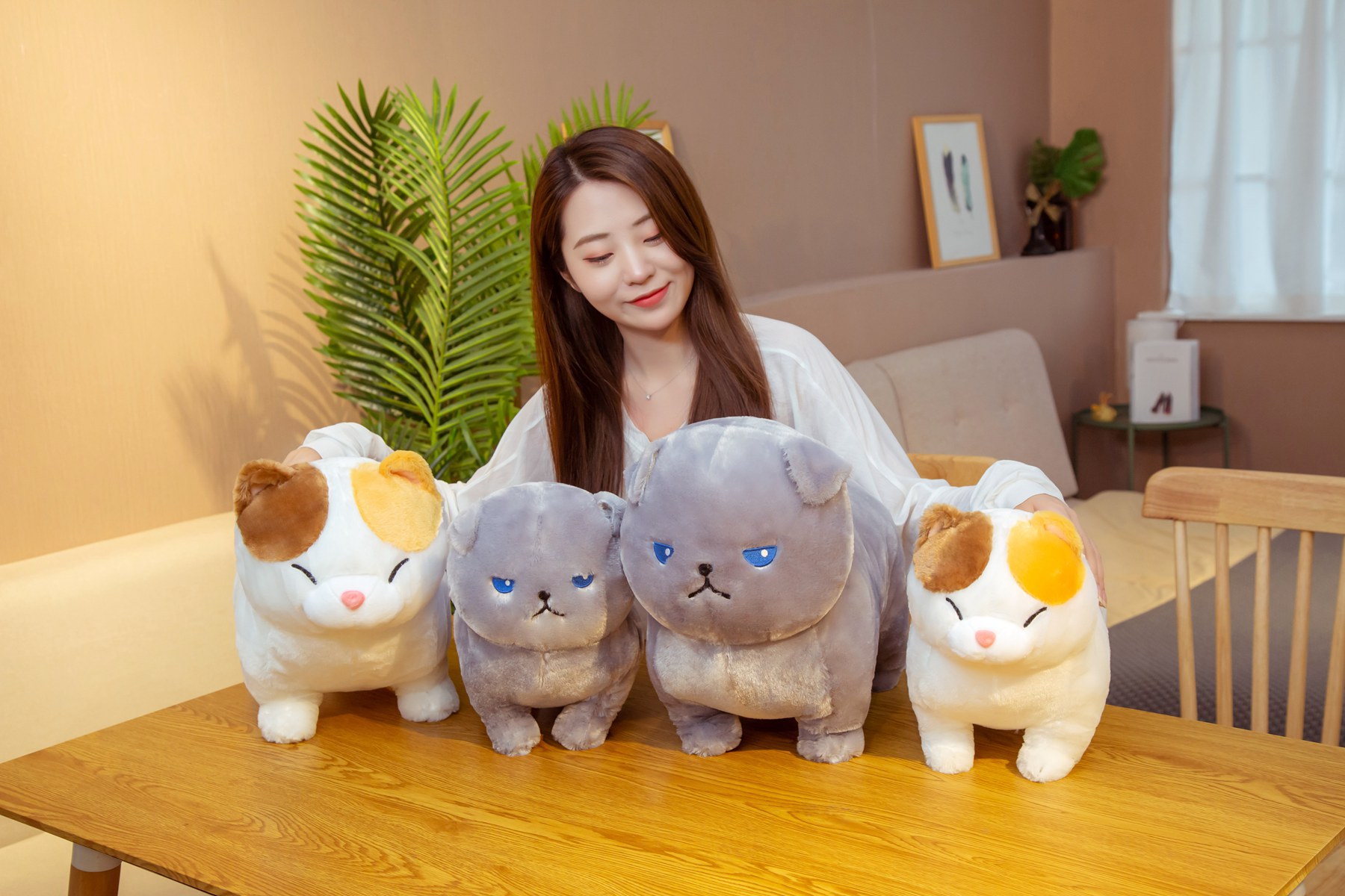 厂家直销可爱卡通毛绒玩具团团猫公仔大号胖猫咪玩偶抓机娃娃