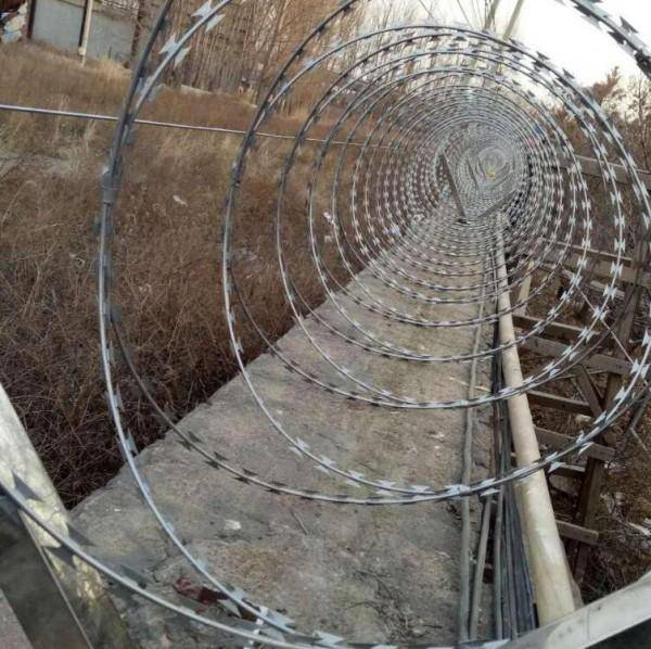 热镀锌刺丝滚笼 围墙防爬倒刺网螺旋刀片刺绳网bto-22厂家价格