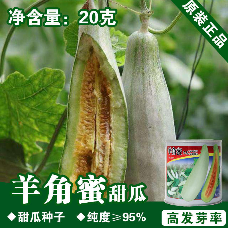 甜瓜种子甜瓜籽酥瓜种子水果种子羊角酥蔬菜种子批发菜种菜籽