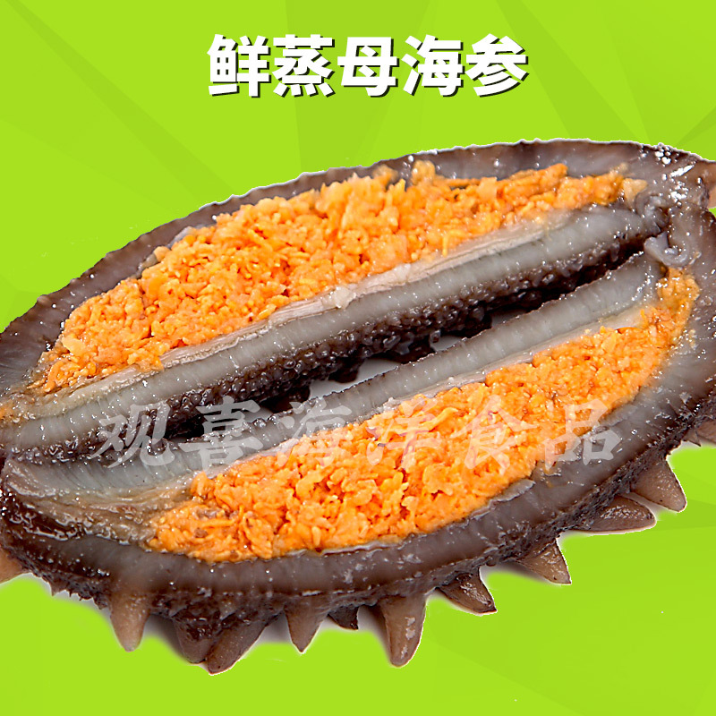 观喜即食海参母海参皇后母海参带籽海参冷冻刺参500克375克