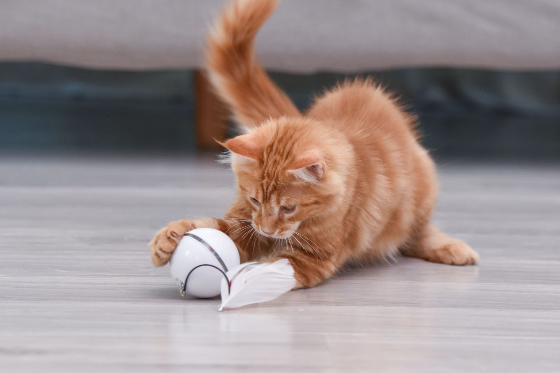 宠物玩具亚马逊新款逗猫球led发光智能猫用品羽毛塑料电动猫玩具