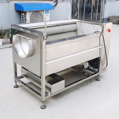 新款山药去皮机 商用全自动多功能80型毛辊不锈钢山药清洗去皮机