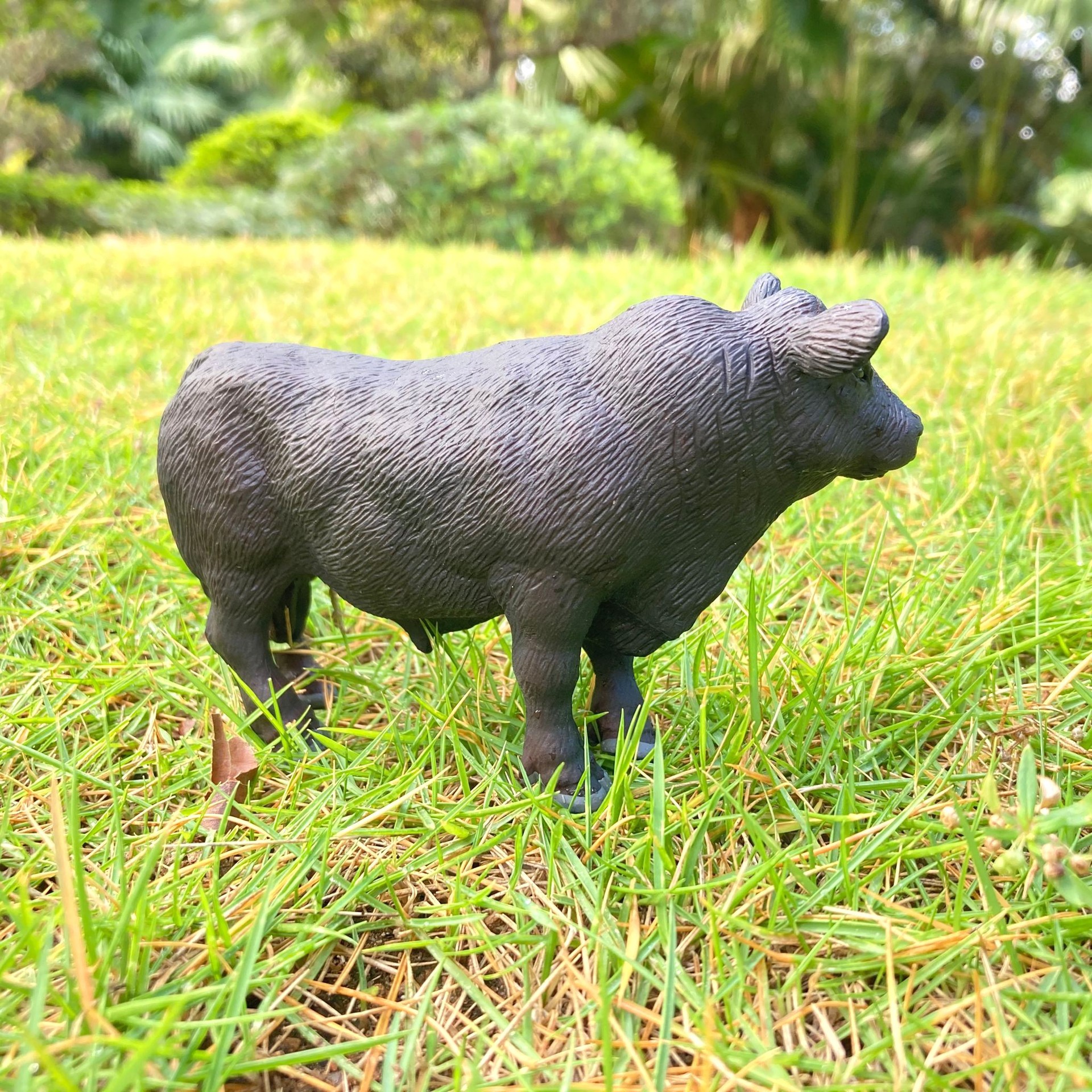 仿真野生动物模型黑安格斯公牛 公牛 黑牛实心玩具牛模型手办摆件