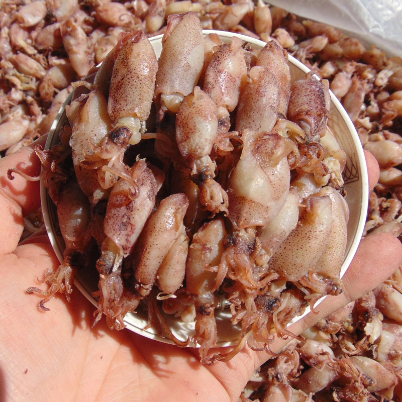 500g小墨斗鱼小号鱿鱼仔干笔管鱼八爪鱼干海鲜水产干货渔民自晒