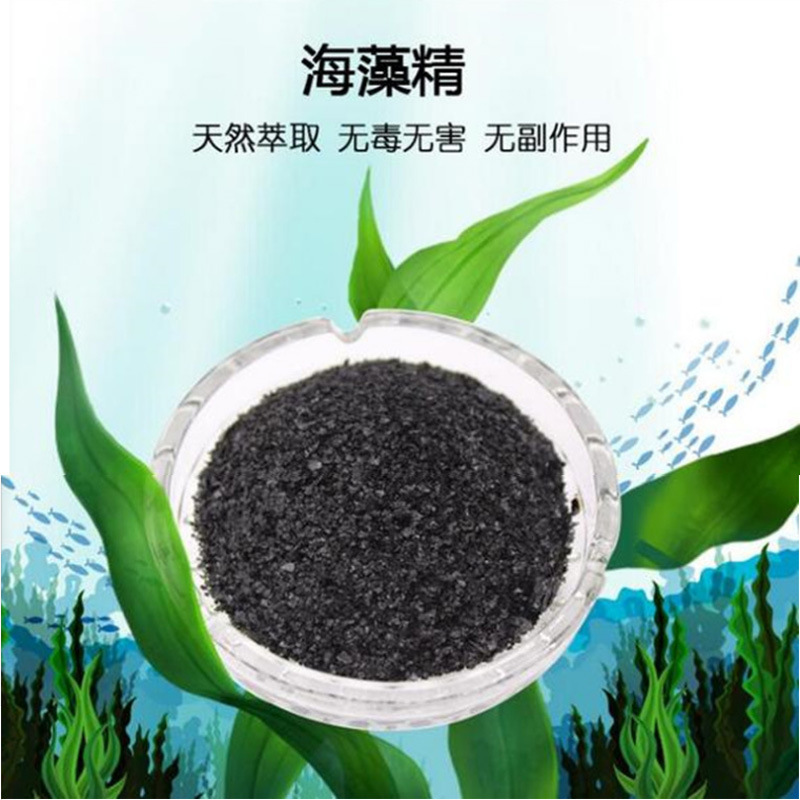 批发海藻酸有机水溶肥生根壮苗改良土壤全水溶肥海藻精 海藻素