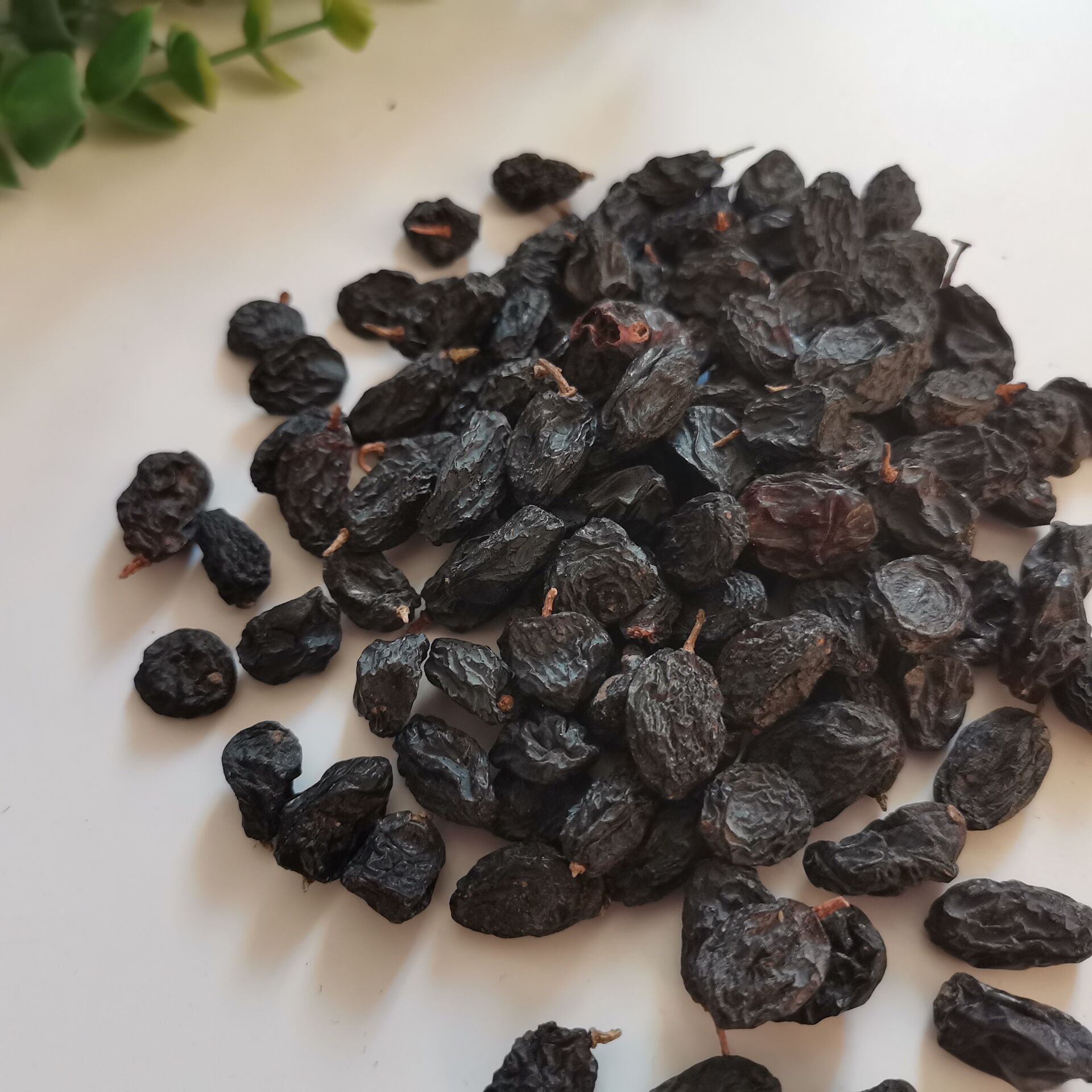 龙记干果新疆特产黑加仑葡萄干 黑提子干 黑加仑500g 代发