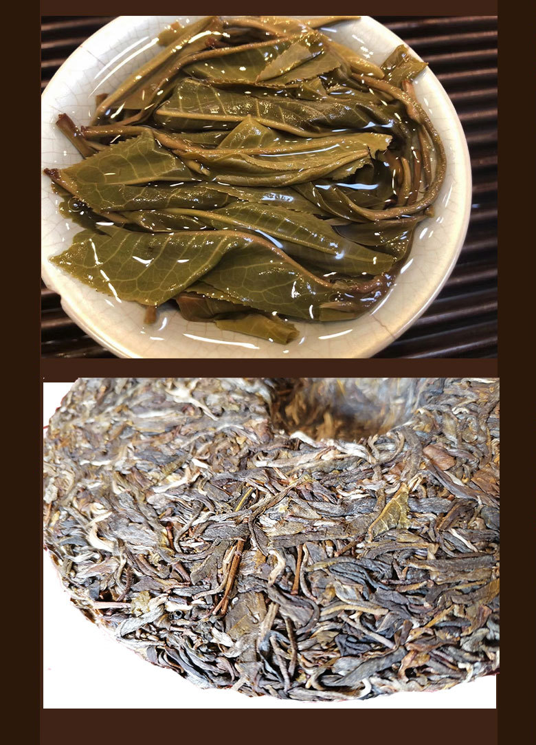 纸山箐古树茶 云南原生大叶种古茶 采摘于早春嫩叶