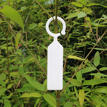 加厚塑料苗木环扣标签防水挂牌花卉植物园艺标识记号牌园艺吊牌