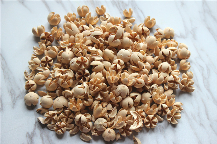 原材料散称开心果干花公斤十字果植物漂白染色花艺材料1公斤价