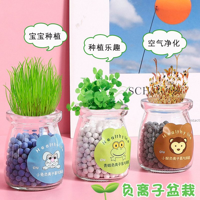 Children's Planting Festival Planting Small Pot Plant Mini Potted Grass Doll Office Desk Surface Panel Green Plant Small Ornaments Plants