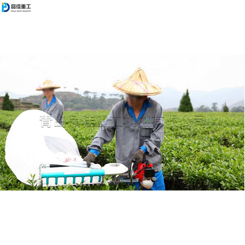 茶园春茶快速采摘机 单双人背负式采茶机 鲜叶茶收获工具机械式