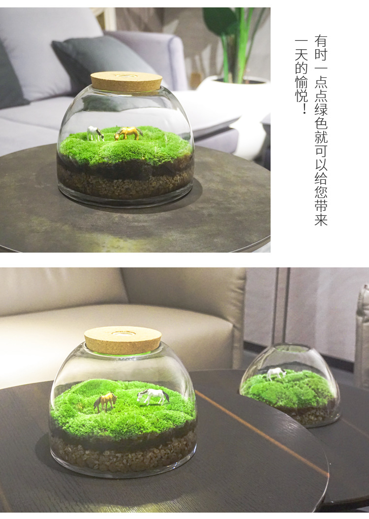 苔藓闷养盆玻璃容器花盆微景缸空瓶 微观植物生态瓶苔藓微景观瓶
