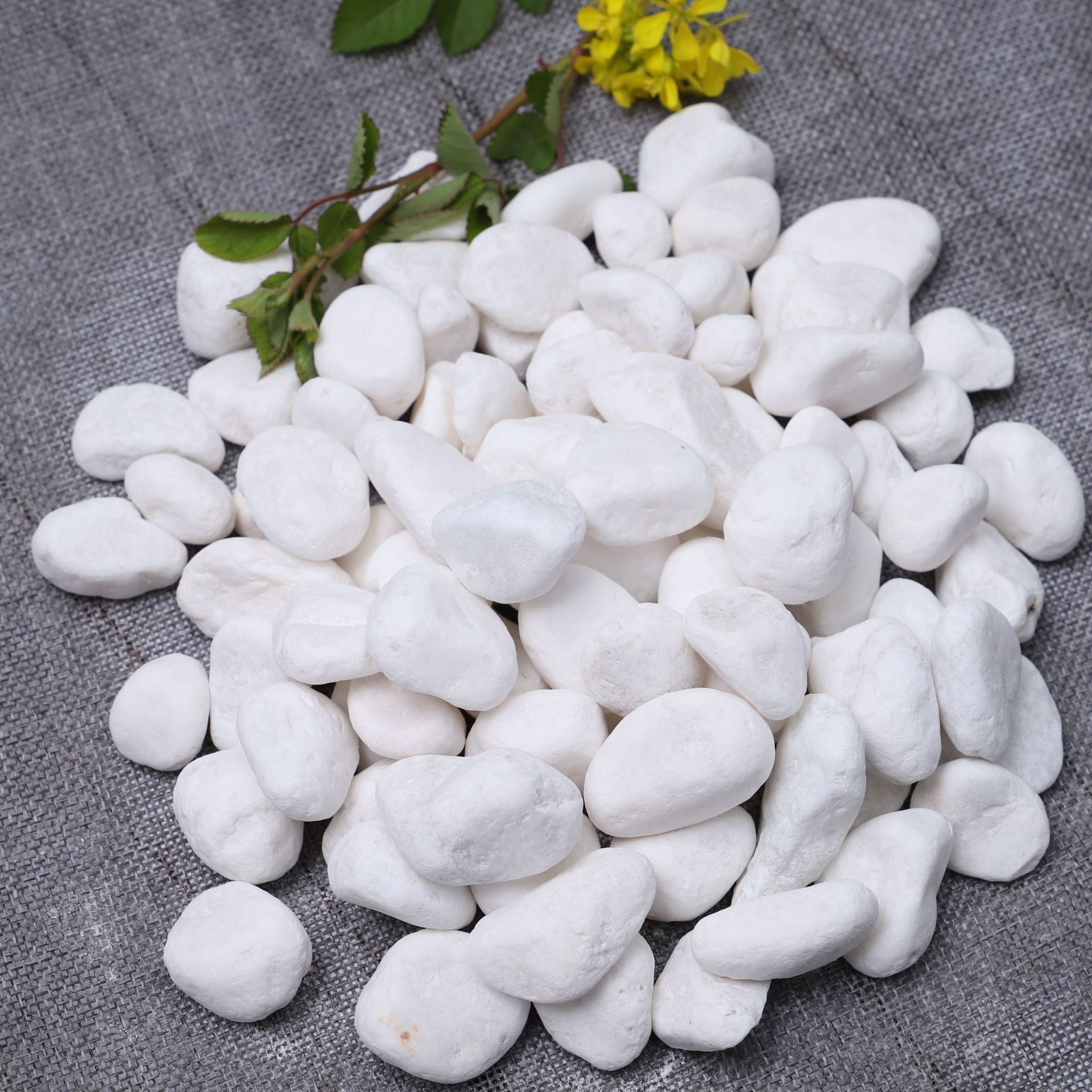 白色石头种类图片