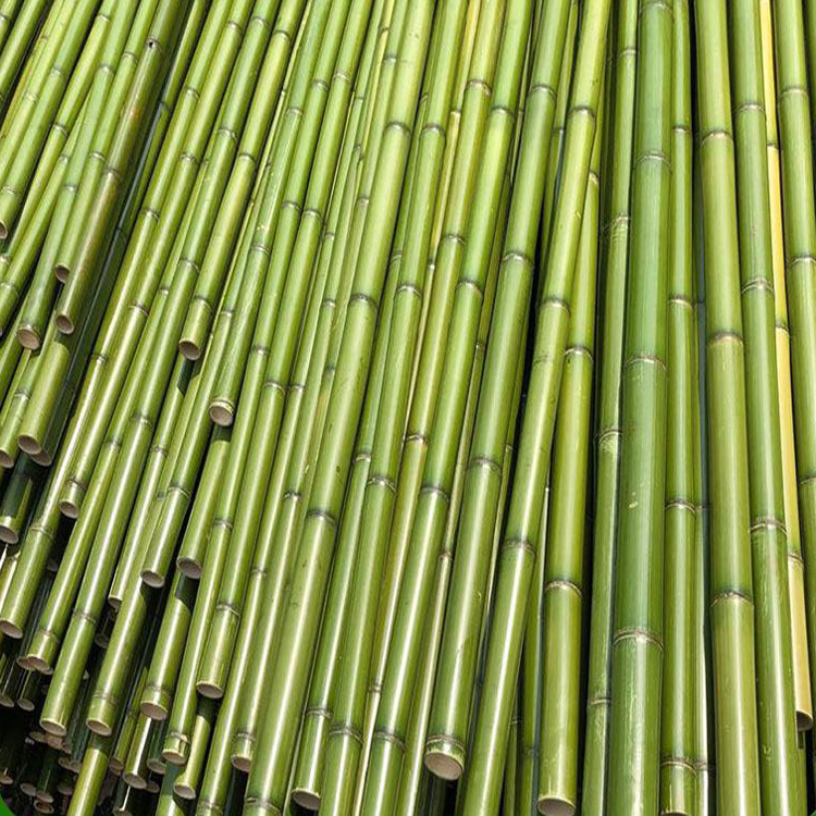 批发粗竹竿大毛竹竿 菜园搭架细竹杆庭院装饰篱笆竹围栏直销