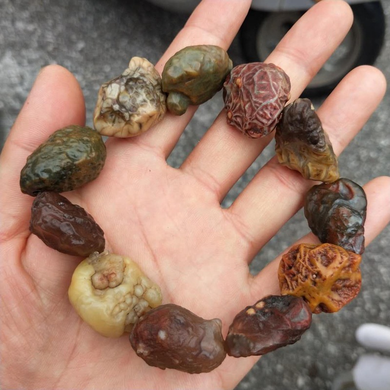 批发新疆内蒙阿拉善戈壁原石玛瑙手链筋脉石随形手串一图一物随机