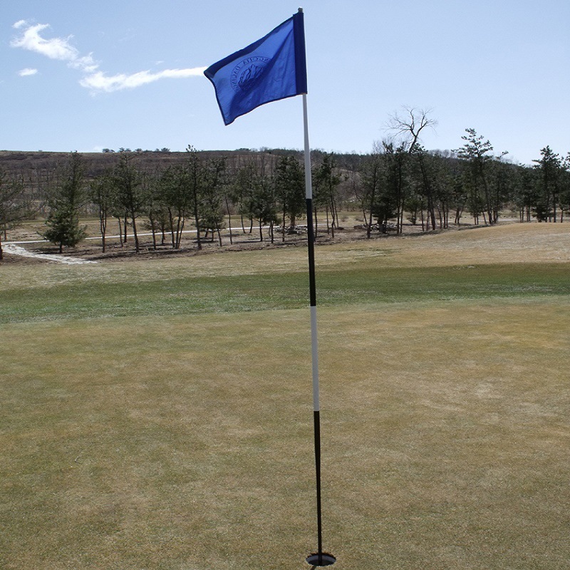 高尔夫果岭旗杆巡回赛专用旗标 球场比赛杆 高尔夫球场推杆目标杆